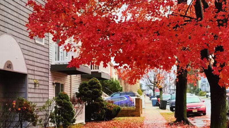 Arlington Depot Park - Kearny, NJ