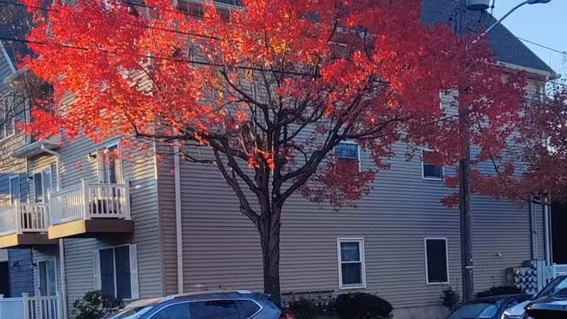Arlington Depot Park - Kearny, NJ