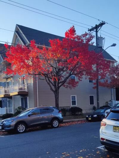 Arlington Depot Park - Kearny, NJ