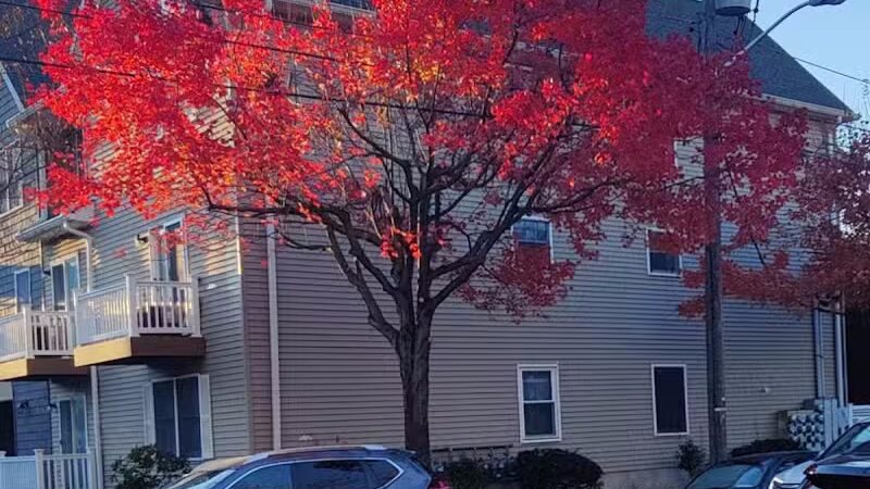 Arlington Depot Park - Kearny, NJ