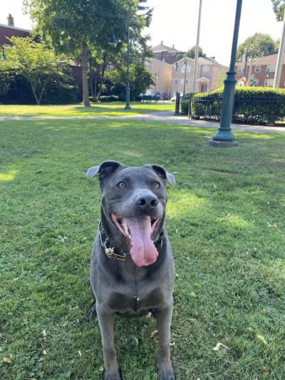 Arlington Depot Park - Kearny, NJ