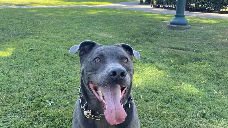 Arlington Depot Park - Kearny, NJ