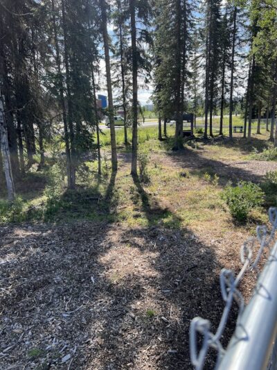 Kenai Bark Park - Kenai, AK