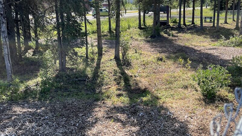 Kenai Bark Park - Kenai, AK