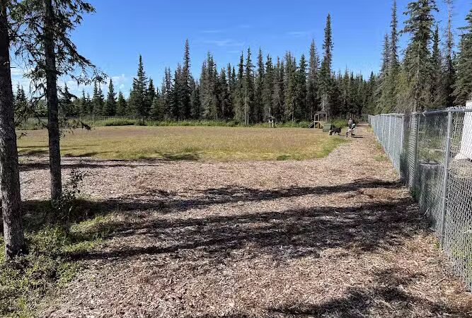 Kenai Bark Park - Kenai, AK