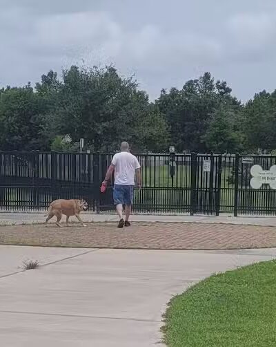 Kenner City Park Dog Park - Kenner, LA