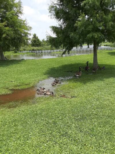 Kenner City Park Dog Park - Kenner, LA