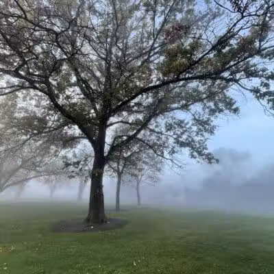 Hawthorne Park - Kennewick, WA