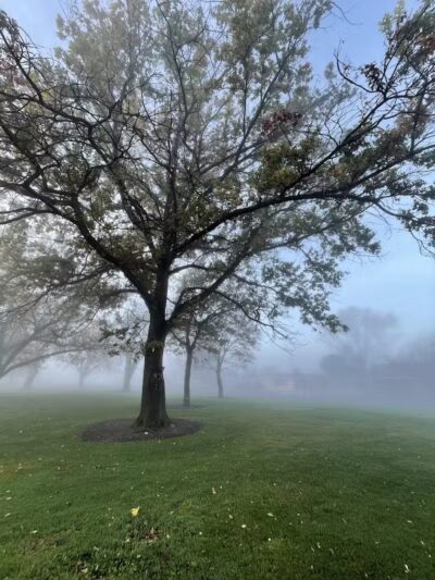 Hawthorne Park - Kennewick, WA