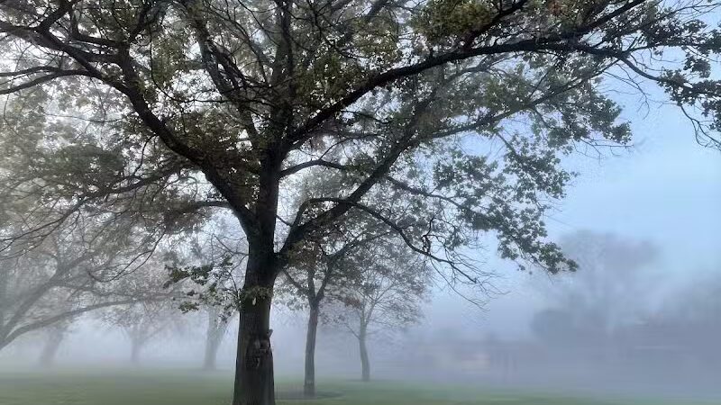 Hawthorne Park - Kennewick, WA