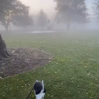 Hawthorne Park - Kennewick, WA