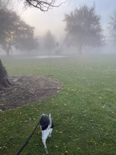 Hawthorne Park - Kennewick, WA