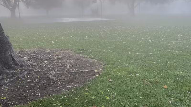 Hawthorne Park - Kennewick, WA