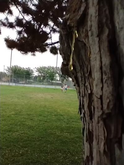 Horse Heaven Hills Park - Kennewick, WA