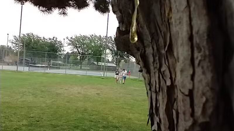 Horse Heaven Hills Park - Kennewick, WA