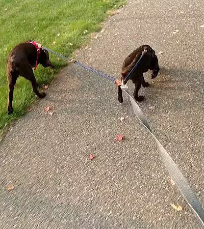 Horse Heaven Hills Park - Kennewick, WA