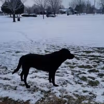 Horse Heaven Hills Park - Kennewick, WA