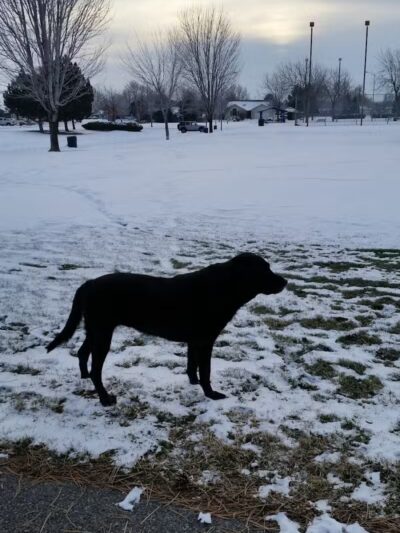 Horse Heaven Hills Park - Kennewick, WA