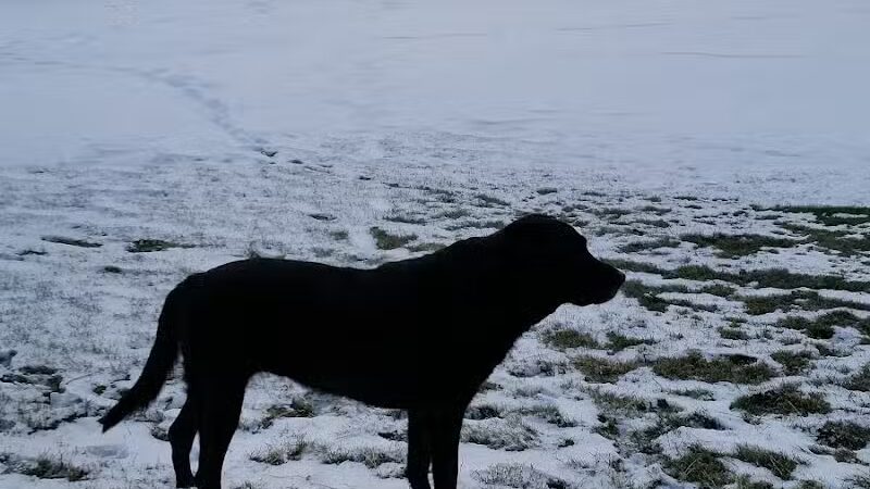 Horse Heaven Hills Park - Kennewick, WA