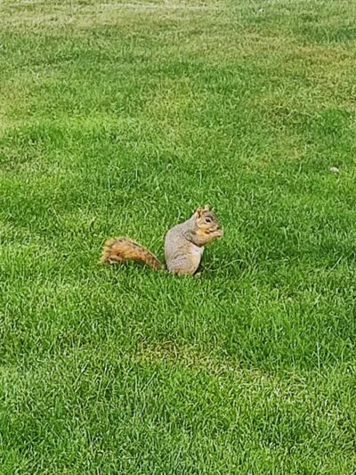 Horse Heaven Hills Park - Kennewick, WA