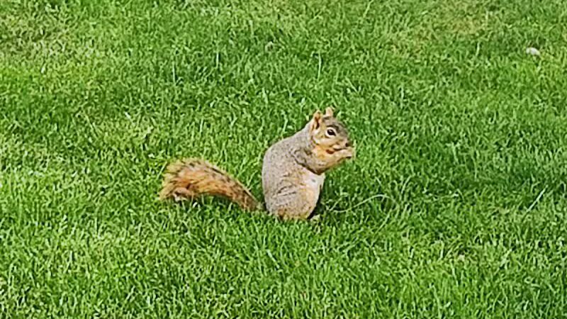Horse Heaven Hills Park - Kennewick, WA