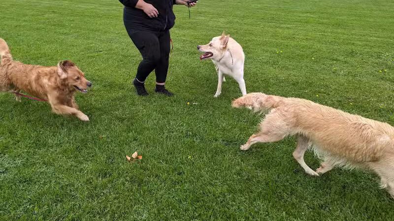 Underwood Park - Kennewick, WA