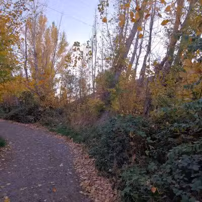 Zintel Canyon Playground - Kennewick, WA