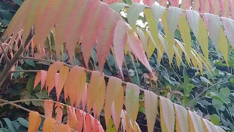 Zintel Canyon Playground - Kennewick, WA