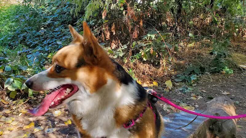 Zintel Canyon Playground - Kennewick, WA