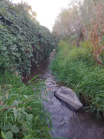 Zintel Canyon Playground - Kennewick, WA