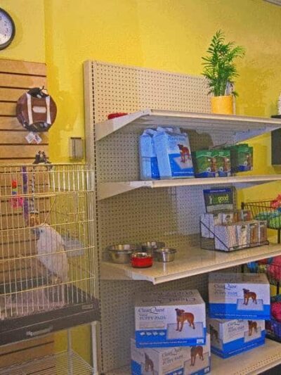 Dog Days and Cat Nights - Kew Gardens, NY