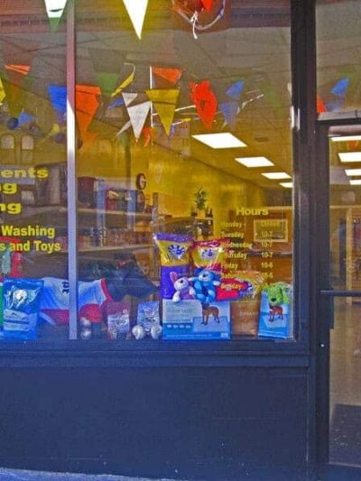 Dog Days and Cat Nights - Kew Gardens, NY