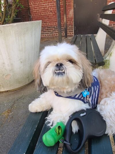 Kew Gardens Cinema Park - Kew Gardens, NY