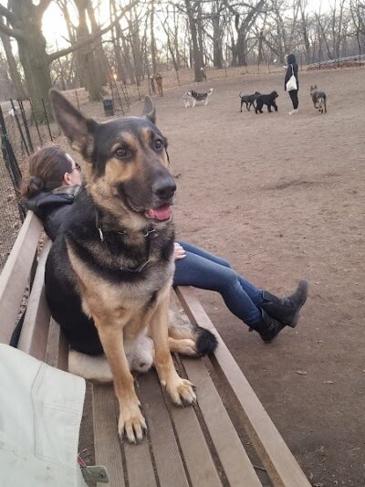 The Overlook: Queens Department of Parks & Recreation - Kew Gardens, NY