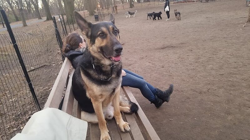 The Overlook: Queens Department of Parks & Recreation - Kew Gardens, NY