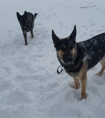 The Overlook: Queens Department of Parks & Recreation - Kew Gardens, NY