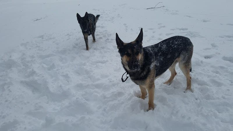 The Overlook: Queens Department of Parks & Recreation - Kew Gardens, NY
