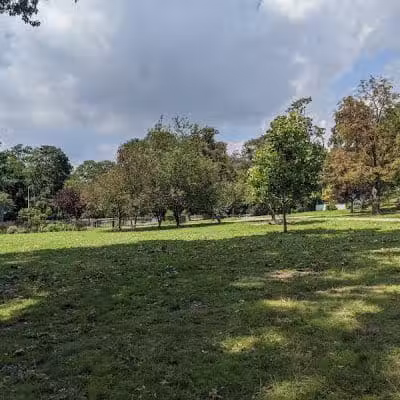 The Overlook: Queens Department of Parks & Recreation - Kew Gardens, NY