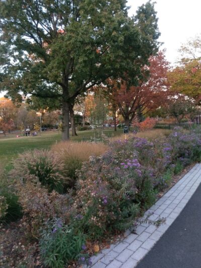 The Overlook: Queens Department of Parks & Recreation - Kew Gardens, NY