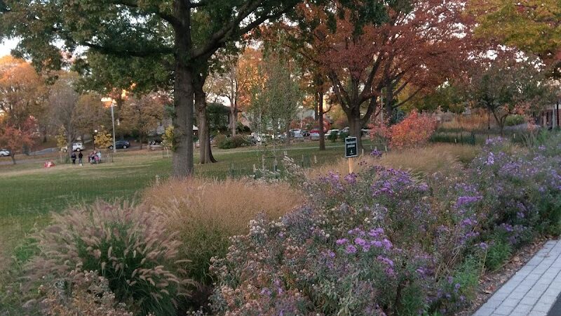 The Overlook: Queens Department of Parks & Recreation - Kew Gardens, NY
