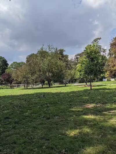 The Overlook: Queens Department of Parks & Recreation - Kew Gardens, NY