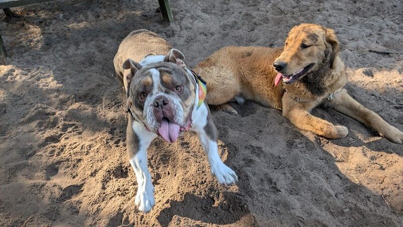 Mary's Paws Park - Kill Devil Hills, NC