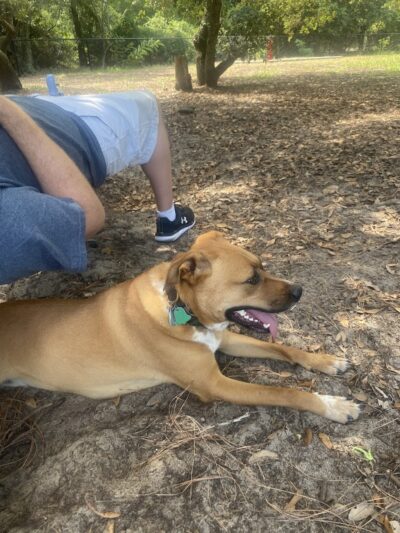 Mary's Paws Park - Kill Devil Hills, NC