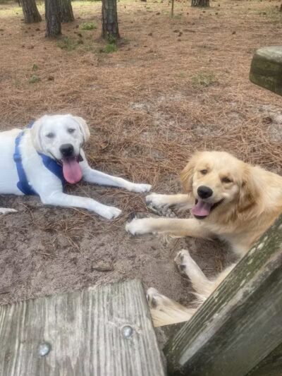 Mary's Paws Park - Kill Devil Hills, NC