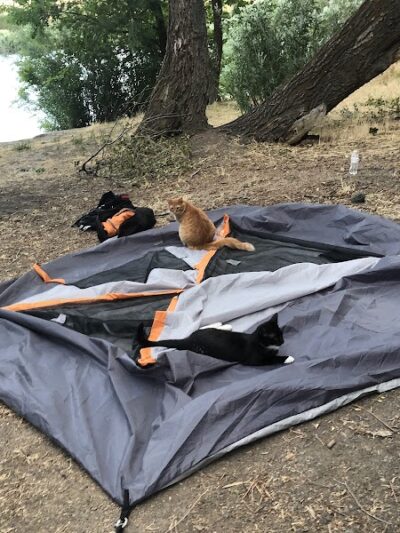 Frank C Jones King Hill Access Area