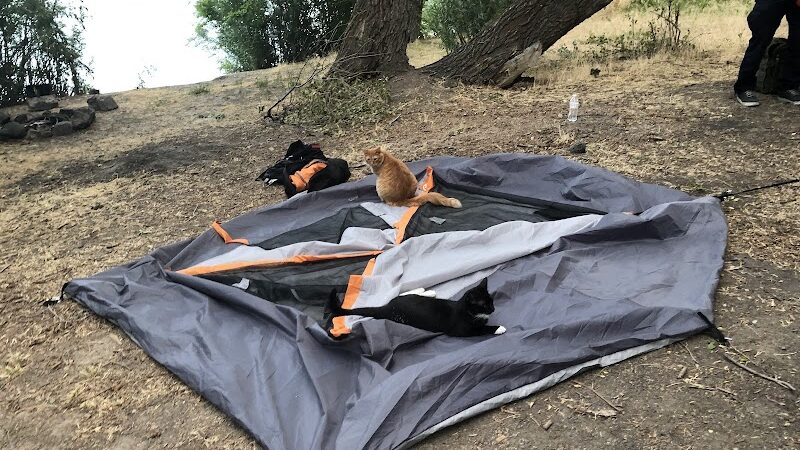 Frank C Jones King Hill Access Area