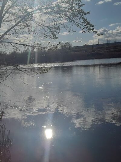 Frank C Jones King Hill Access Area