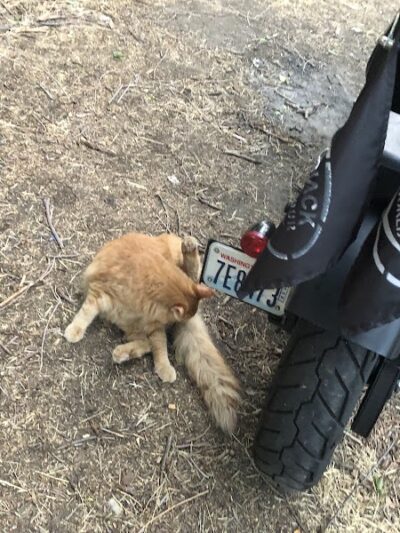 Frank C Jones King Hill Access Area