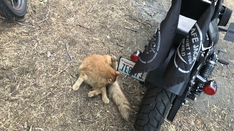 Frank C Jones King Hill Access Area