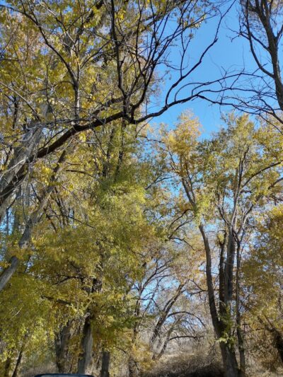 Frank C Jones King Hill Access Area